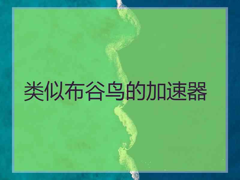 类似布谷鸟的加速器