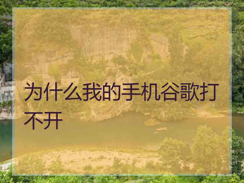 为什么我的手机谷歌打不开