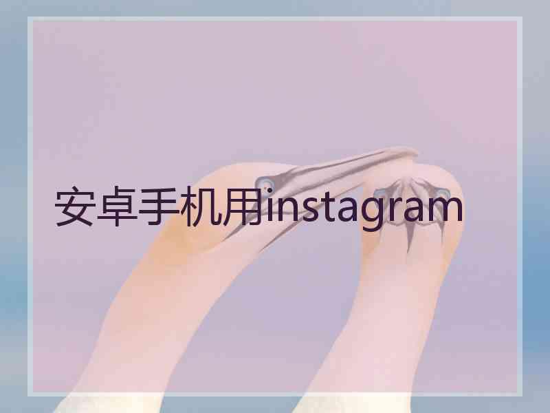 安卓手机用instagram