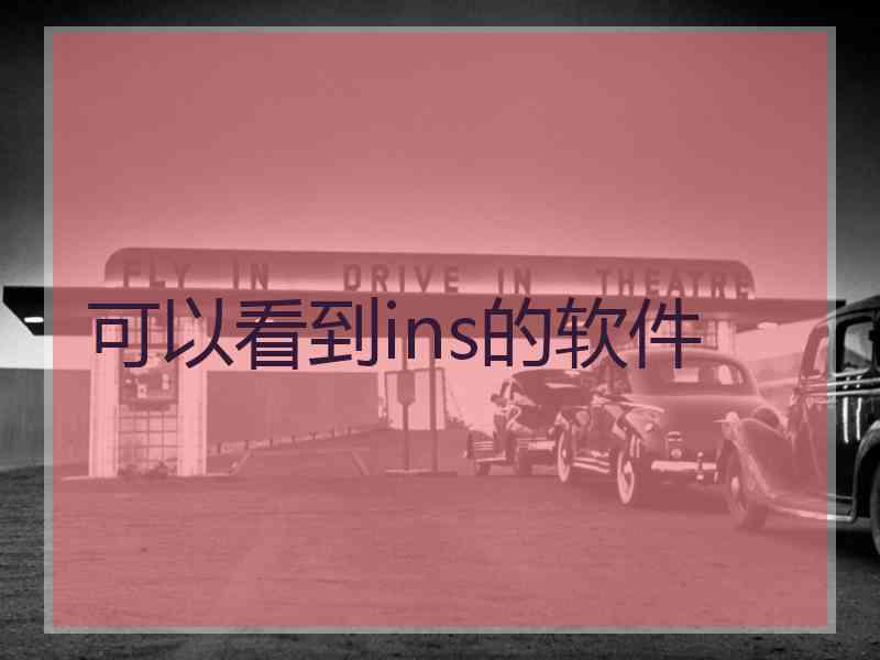 可以看到ins的软件